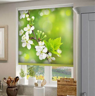 Рольшторы с фотопечатью