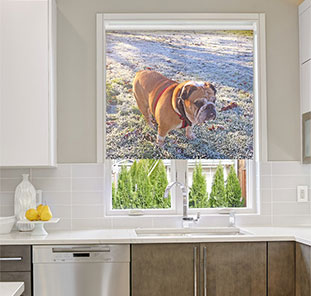 Рольштора с фотопечатью - собака - верный друг